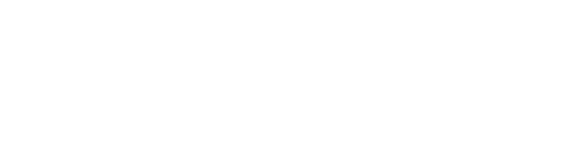 Deputado Estadual Enio Tatto 13114